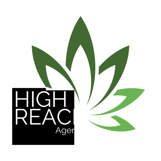 High Reach logo web
